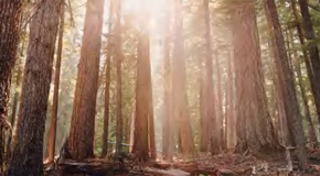 co-Friendly and Green, Caring for Your Health